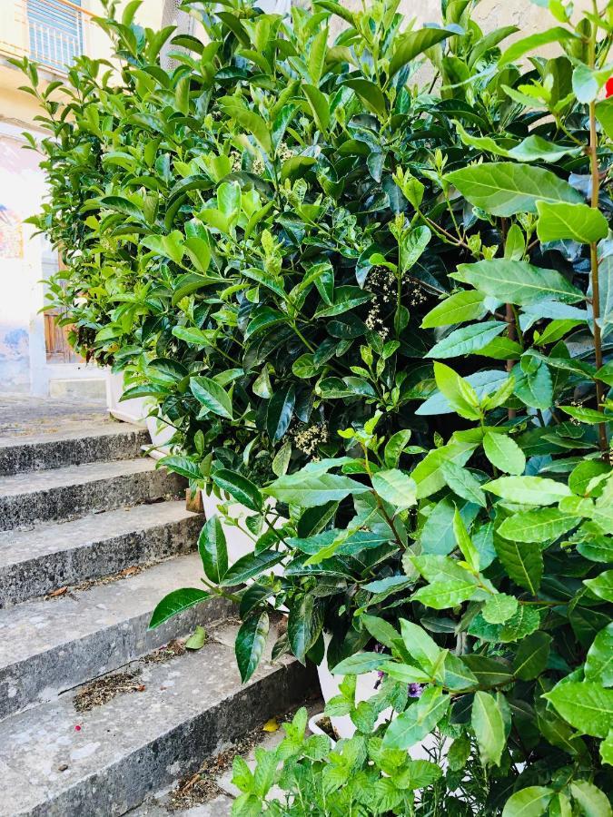 A Casa Da Anita Villa Palazzolo Acreide Kültér fotó